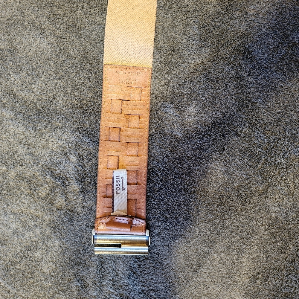 FossilBelt - Picture 4 of 4